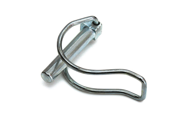 BUISBORGPEN Verzinkt 8x50mm